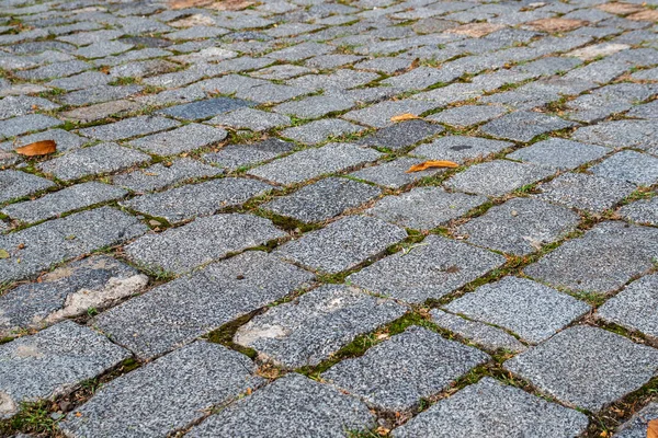 Stone blok naadloze textuur, de weg naar voetgangers. — Stockfoto