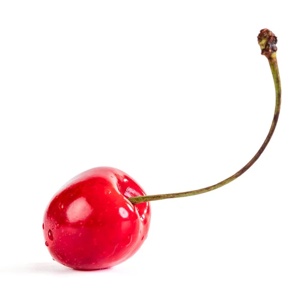 Rote Kirsche Isoliert Auf Weißem Hintergrund Früchte — Stockfoto