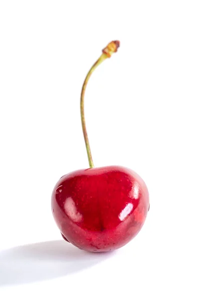 Słodka Wiśnia Czerwona Izolowana Białym Tle Owoce — Zdjęcie stockowe