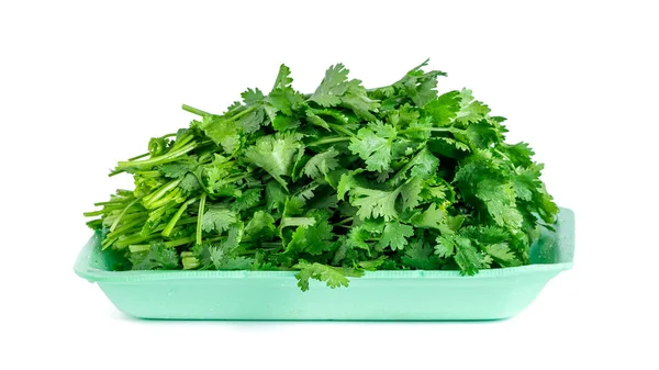 Frischer Koriander Und Petersilie Isoliert Auf Weißem Hintergrund Gemüse — Stockfoto