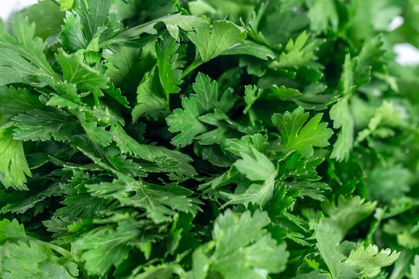 Makroaufnahme Von Frischer Grüner Petersilie Rohem Gemüse — Stockfoto