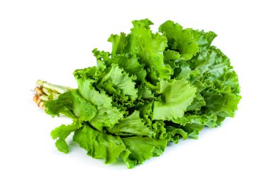 Taze yeşil marul salatası yaprakları beyaz arka planda izole, sağlıklı sebze