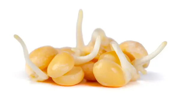 具有白色背景的豌豆芽 健康食品 — 图库照片
