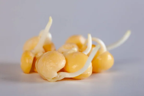 Erwten Spruiten Witte Achtergrond Gezond Voedsel Dieet — Stockfoto