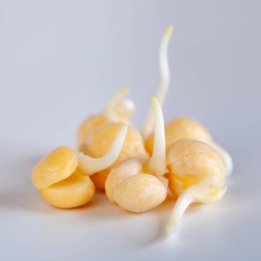 Beyaz arka planda bezelye filizi, sağlıklı yemek, diyet