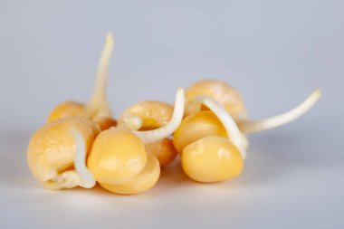 Beyaz arka planda bezelye filizi, sağlıklı yemek, diyet