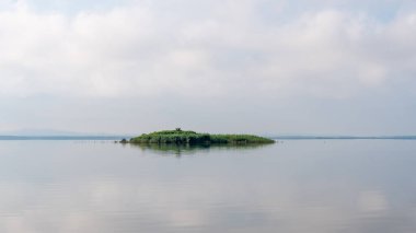 Paleostomi Gölü 'ndeki güzel ada manzarası, Poti, Georgia. Doğa