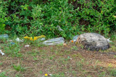 Kirli çevre, ormanda plastik şişeler, doğa.
