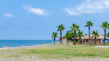 Gürcistan 'ın Anaklia kentinde Karadeniz kıyısındaki palmiye ağaçları. Peyzaj