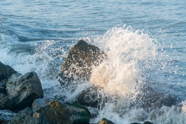 Karadeniz kıyısında, Poti, Georgia 'da deniz dalgaları. Deniz Burnu