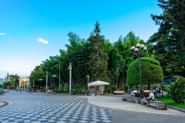 Batumi, Gürcistan - 04 Ağustos 2020: Batumi 'de çeşitli ağaçlarla park. Seyahat