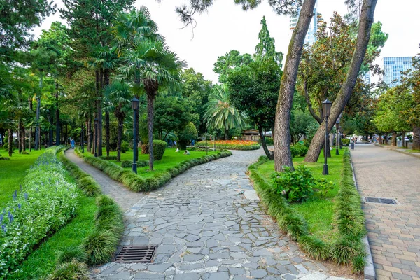 Batoumi Géorgie Août 2020 Parc Avec Divers Arbres Sur Promenade — Photo