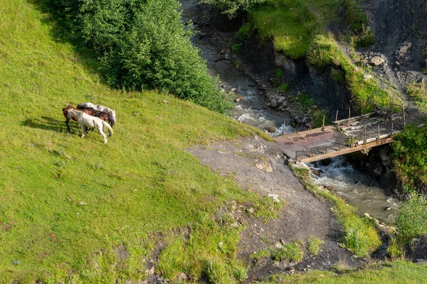 Mountain Landscape Horses Grazing Mountain Valley Mountain Range Georgia — Stock Photo, Image