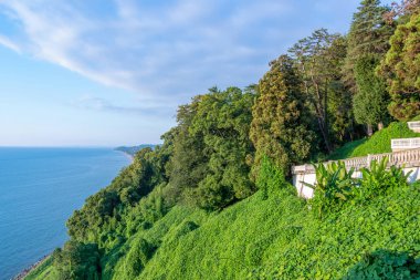 Karadeniz Körfezi Botanik Bahçesi, Adjara 'dan Güzel Yaz Manzarası. Georgia