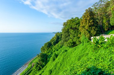 Karadeniz Körfezi Botanik Bahçesi, Adjara 'dan Güzel Yaz Manzarası. Georgia