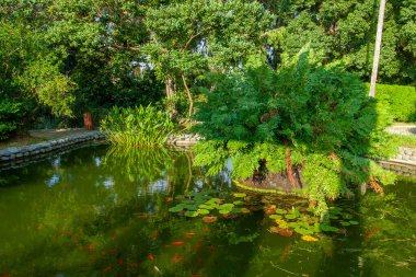 Batum Botanik Bahçesi 'nin güzel manzarası Gürcistan' ın Adjara bölgesindeki Batumi yakınlarında yer almaktadır.