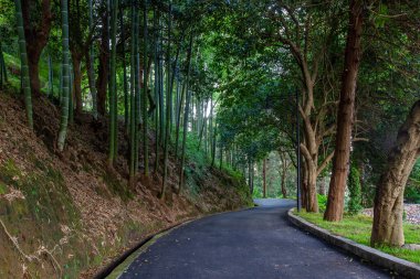 Batum Botanik Bahçesi 'nin güzel manzarası Gürcistan' ın Adjara bölgesindeki Batumi yakınlarında yer almaktadır.