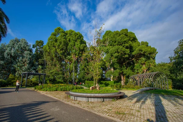 Hermosa Vista Del Jardín Botánico Batumi Encuentra Cerca Batumi Adjara — Foto de Stock