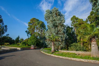 Batumi, Gürcistan - 08 Ağustos 2020: Gürcistan 'ın Adjara bölgesinde Batum Botanik Bahçesinin güzel manzarası