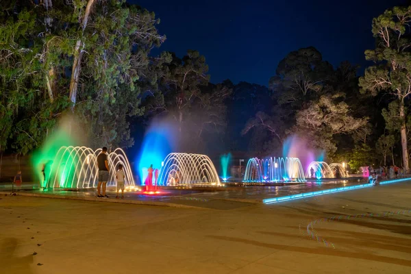 Colored musical water fountain at night. Shekvetili, Georgia