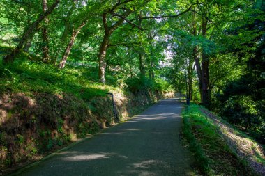 Batum Botanik Bahçesi 'nin güzel manzarası Gürcistan' ın Adjara bölgesindeki Batumi yakınlarında yer almaktadır.