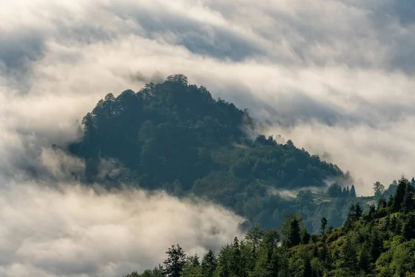 Hermosa Área Protegida Kintrishi Resort Gomismta Increíble Naturaleza Montaña Georgia — Foto de Stock