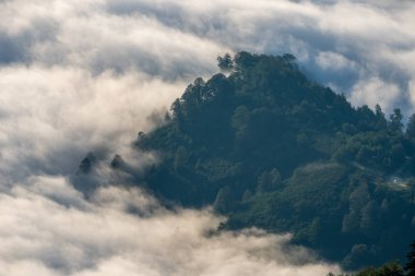 Kintrishi ve Resort Gomismta 'nın güzel korunaklı bölgesi. Georgia Dağı 'nın inanılmaz doğası. Seyahat