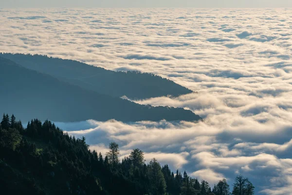 Hermosa Área Protegida Kintrishi Resort Gomismta Increíble Naturaleza Montaña Georgia — Foto de Stock