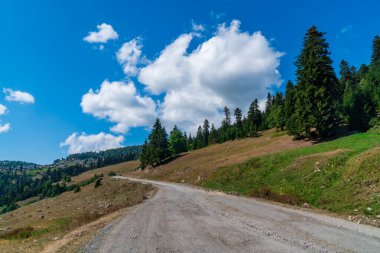 Ajara 'daki güzel dağ manzarası, güzel vadi. Georgia
