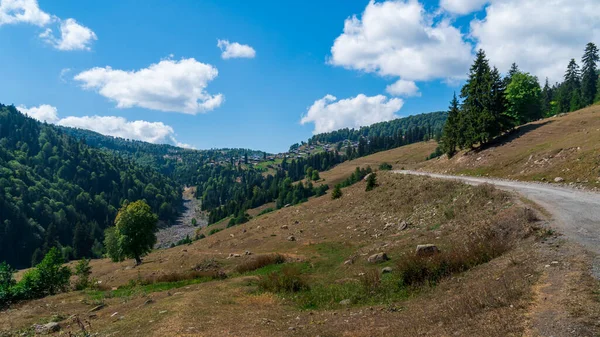 Krásná Horská Krajina Ajaře Nádherné Údolí Georgia — Stock fotografie