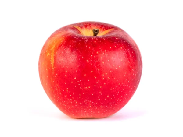 新鲜的红苹果 白色背景 健康的食物 — 图库照片