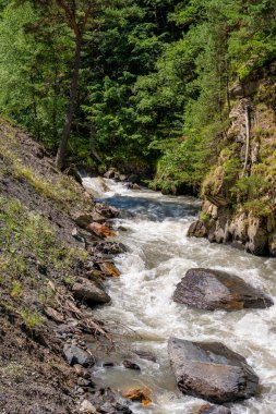 Gürcistan 'ın Khevsureti kentindeki güzel bir dağ nehri vadisi. Seyahat