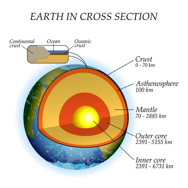 Structuur Van Aarde Een Dwarsdoorsnede Lagen Van Kern Mantel Asthenosfeer — Stockvector