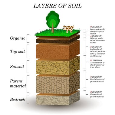 Toprak, eğitim diyagramı katmanlar. Mineral parçacıklar, kum, humus ve taşlar, doğal gübre. Afiş, sayfa, posterler, vektör çizim için şablon.