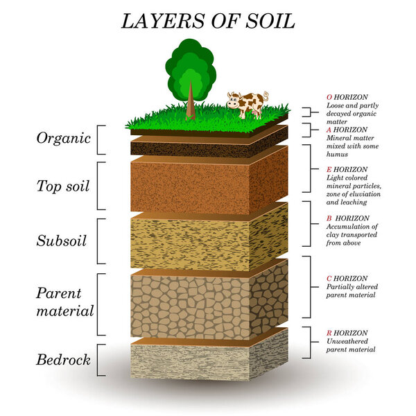 Layers of soil, education diagram. Mineral particles, sand, humus and stones, natural fertilizer. Template for banners, page, posters, vector illustration.