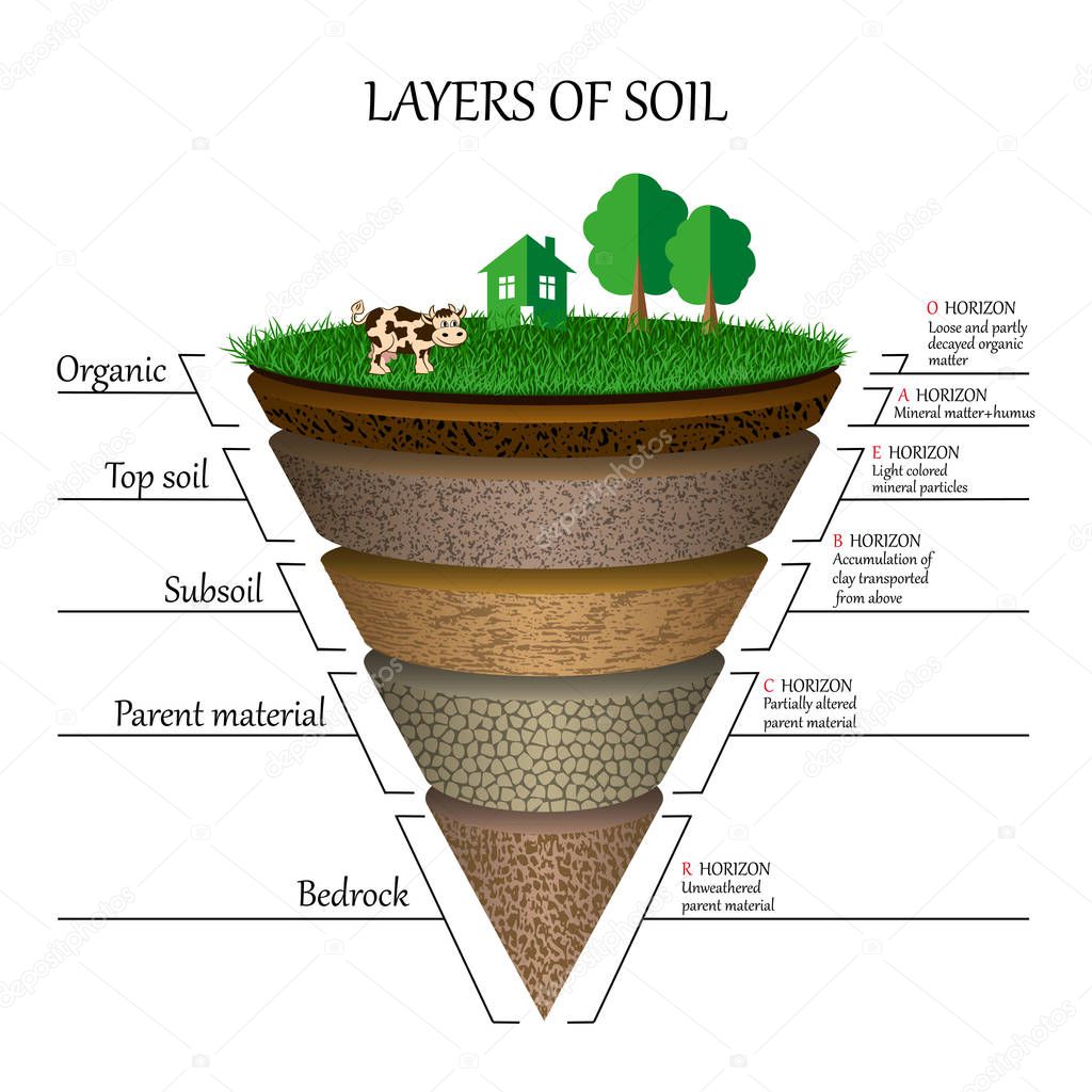 Layers of soil, education diagram. Mineral particles, sand, humus and stones, clay, natural fertilizer. Template for banners, page, posters, vector illustration.