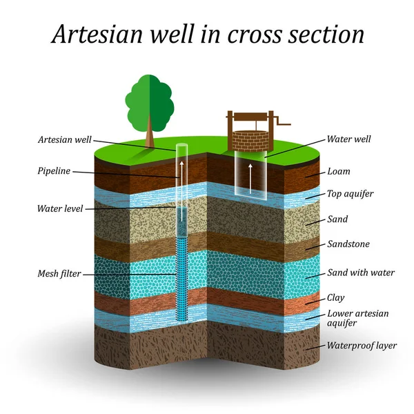 Artesischen Brunnen Querschnitt Schematisches Bildungsplakat Grundwasser Sand Kies Lehm Ton — Stockvektor