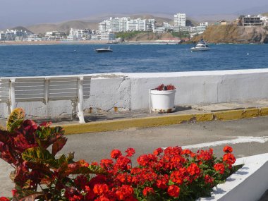 Doğal görünümü konut geliştirme Santa Maria del Mar beach resort 52,5 kilometre Lima güneyinde bulunmaktadır. Resimdeki orada da plaj, Pasifik Okyanusu, iki Yatlar, bir korkuluk, çiçekli bitkiler, bir tezgah ve yaya yolu. 