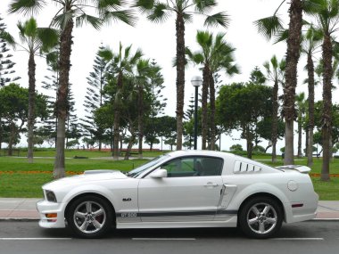 Lima, Peru. 30 Ekim 2017. Bir siyah ve Beyaz Ford Mustang Gt500 5.0 V8 alüminyum jantlar ile beceri durumu Ford Motor Company ABD tarafından inşa ve bir park Lima Miraflores bölgesinde yanında park etmiş. Fotoğraf bulutsuz bir günde çekildi 
