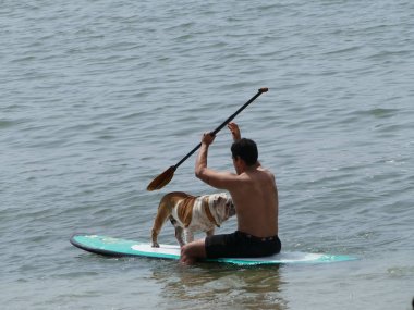Lima, Peru. 29 Ekim 2017. Doğal görünümünde bir sörfçü adam ile bir köpek paddleboarding güneşli bir günde 51 kilometre güneyinde Lima San Bartolo Pasifik Okyanusu kumsalda.  
