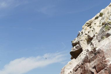 İki deniz kuşları bir Paracas Wildlife Reserve, Paracas, ICA, Peru Ballestas ada buzlu