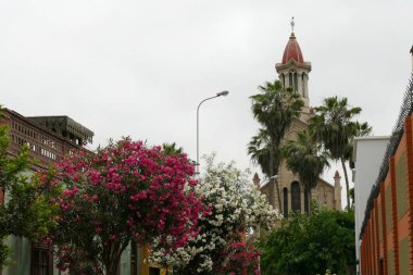 Çiçekli ağaçlar, Saint Francis Kilisesi ve eski evler Barranco Lima bölge içinde yer alan doğal görünümünü. 