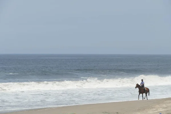 Hombre Jinete Irreconocible Caballo Marrón Trotando Costa Del Océano Pacífico Imagen De Stock