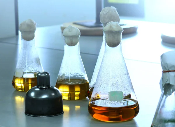 Elenmeyer Flasks Fluid Table Laboratory — Stock Photo, Image