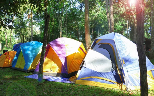 Tiendas Campaña Coloridas Bosque Para Acampar Por Mañana Con Bengalas — Foto de Stock