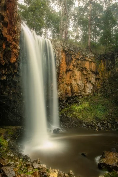 Trentham Falls Une Des Longues Chutes Eau Une Seule Goutte Photo De Stock