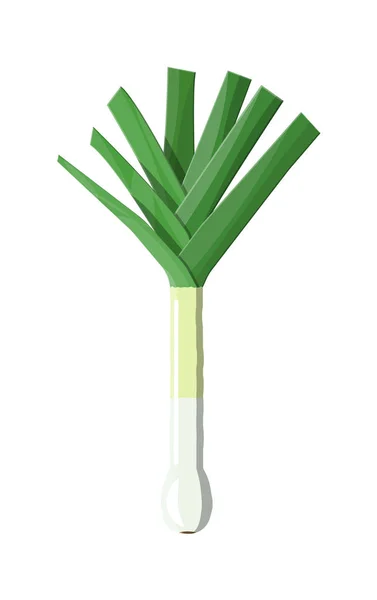 Reife Gemüsebitterzwiebel mit grünem Stiel. — Stockvektor