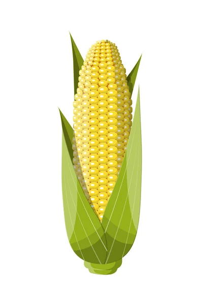 Corncobs sarı mısır ve yeşil yaprakları ile. — Stok Vektör