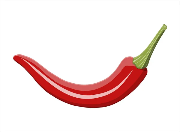 Chilipfeffer Gemüse isoliert auf weiß — Stockvektor