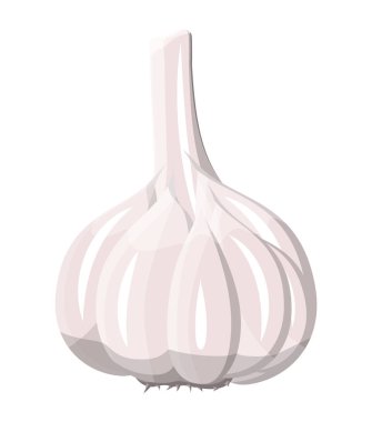 Beyaz izole sarımsak. Sarımsak sebze.